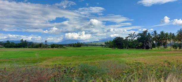 istock Panoramic view od meadow fields and mountains in distance in background under cloudy sky 1460204514