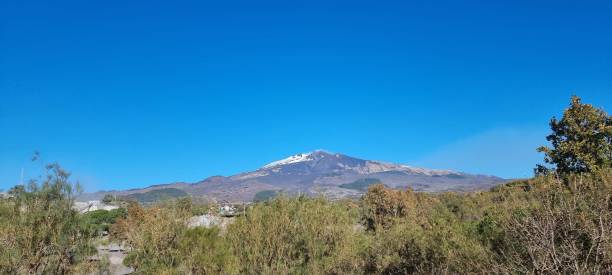 istock Panoramic view of forest trees with snowy  mountain on the horizon 1460204626