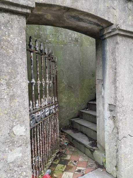istock Vertical shot of an old dirty gate 1460204834