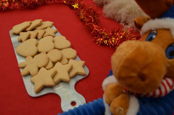 istock beautiful handmade cookies for Christmas celebration 1460205533