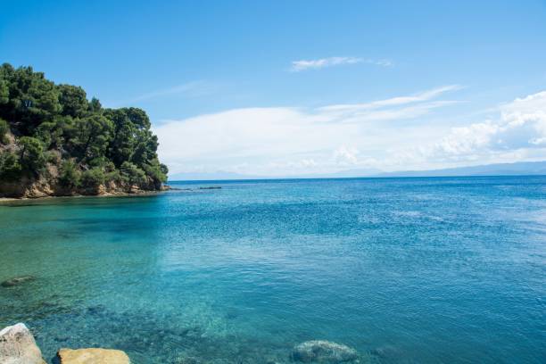 istock Koukounaries Beach on the Skiathos Island in Greece 1460206092