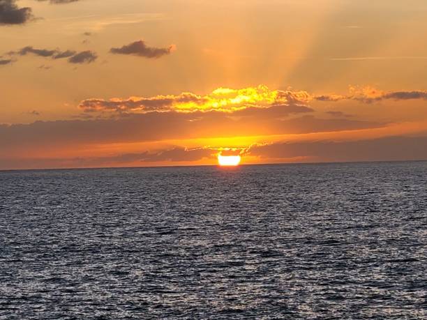 istock Beautiful orange sunset on the seashore 1460206278