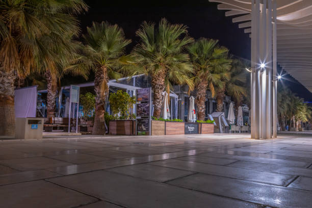 istock Modern urban architecture, Harbour quay at night. Malaga, Spain 1460209216