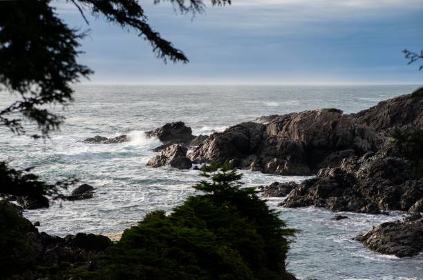 istock Rocky shore of the sea 1460209895