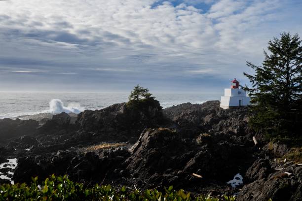 istock Lighthouse on black rocks by the ocean 1460210075