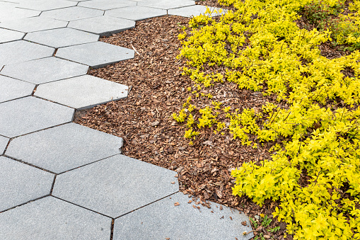Decorating a curb or the edge of a pedestrian zone with tree bark. The uneven edge of a hexagonal paving tile. Modern space, urban square landscaping