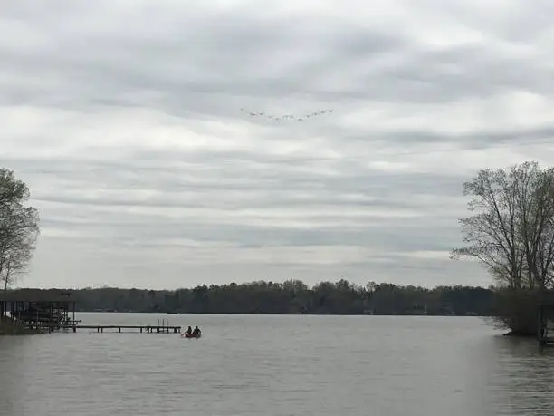 A beautiful v-formation of birds flying over a serene lake with a kayak in the distance.
