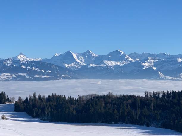 istock Swiss alps in winter 1460215261