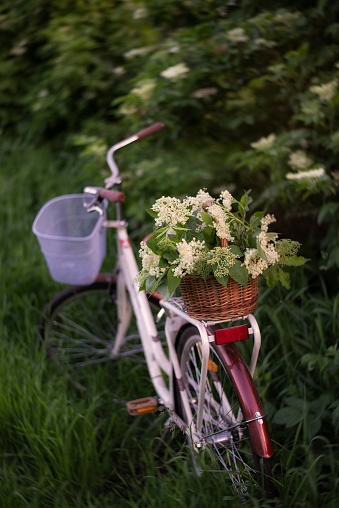 Photo of a retro bicycle with a basket of flowers.