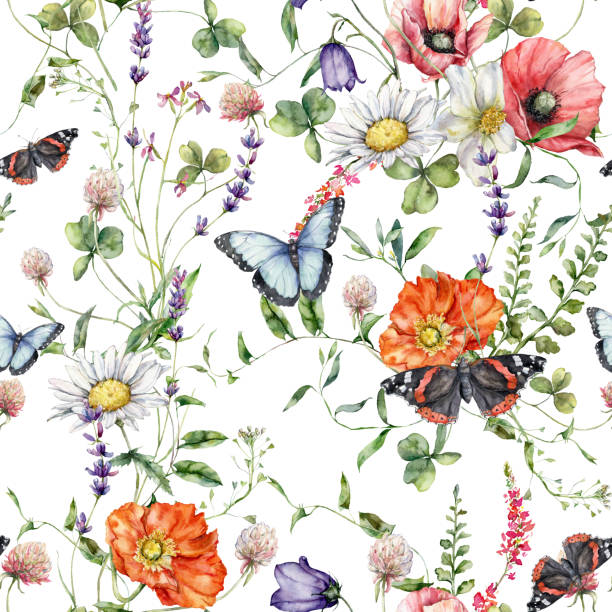 수채화 초원 꽃은 양귀비, 카모마일, 미나리 아재비와 나비의 매끄러운 패턴입니다. 흰색 배경에 격리된 손으로 그린 꽃 그림. 디자인, 인쇄, 직물 또는 배경용. - butterfly backgrounds seamless pattern stock illustrations