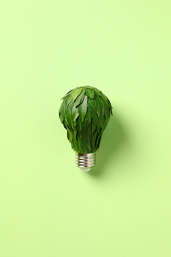 Energy saving bulb with green leaves on green background. Save energy, protect the environment and conserve resources