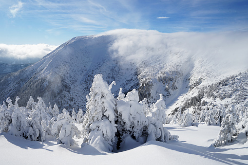 Beautiful winter Krkonose Giant Mountains panoramic view on sunny day with blue sky, Czech Republic and Poland