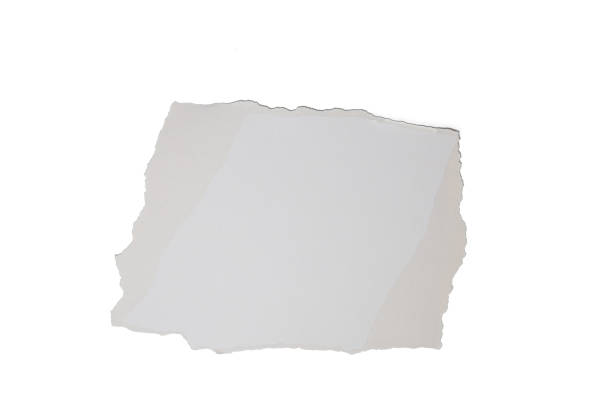 istock Torn sheets of old paper. Torn vintage paper shreds set. 1460225734