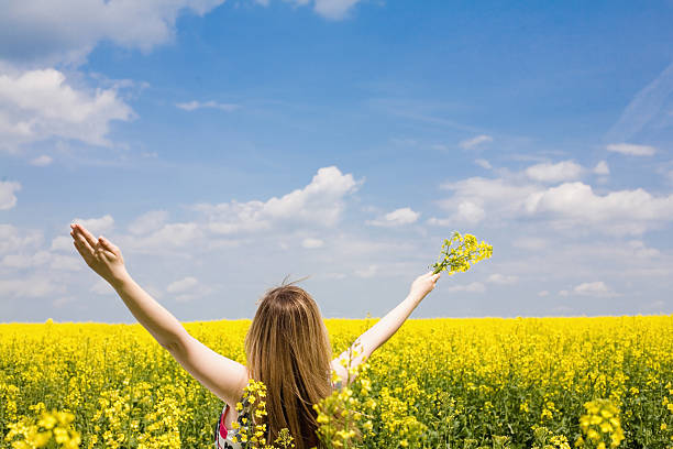 Happy girl on the rape field. stock photo