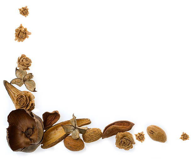 istock Frame with dried flowers and almond 146022742