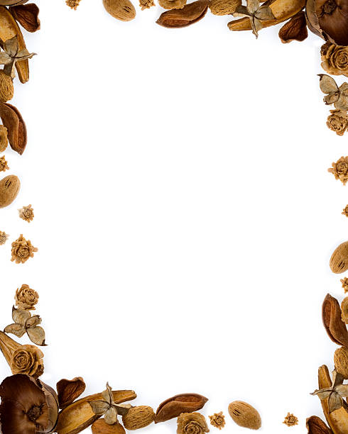 istock Frame with dried flowers and almond 146022746