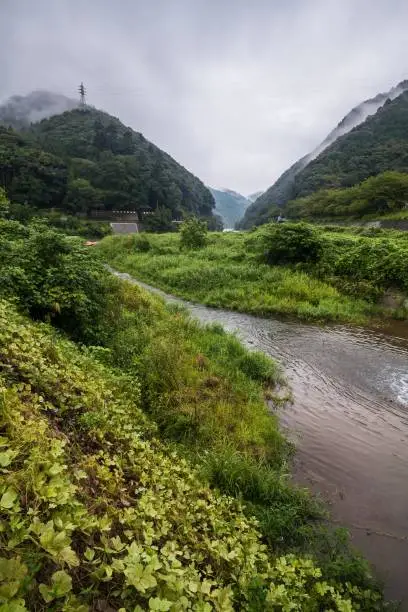 Holiday in Japan - Summer Autumn Transit in Romantic Scenic Train, Kyoto view of river and mountain