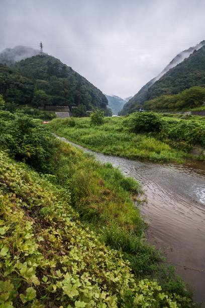 summer autumn transit in romantic scenic train, kyoto view of river and mountain - kyoto city kyoto prefecture kinkaku ji temple temple imagens e fotografias de stock