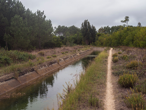 Footpath of hiking trail Rota Vicentina along water irrigation canal. Pine trees and green bushes.