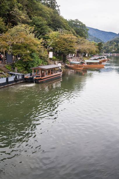 летний осенний транзит в реке камо, киото - kyoto city kyoto prefecture kinkaku ji temple temple стоковые фото и изображения