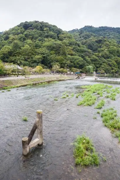 Holiday in Japan - Summer Autumn Transit in The Kamo River, Kyoto