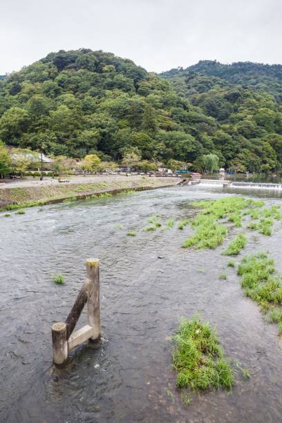 летний осенний транзит в реке камо, киото - kyoto city kyoto prefecture kinkaku ji temple temple стоковые фото и изображения