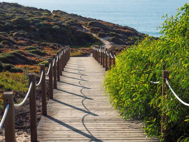 Free Stock Photo of A path leading to the ocean | Download Free Images ...