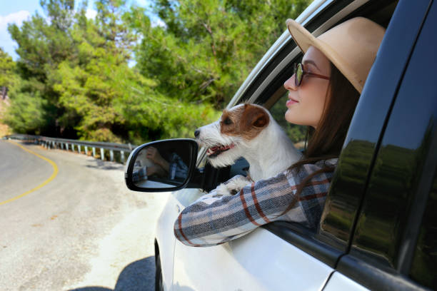 istock Road trip with a dog. 1460229006