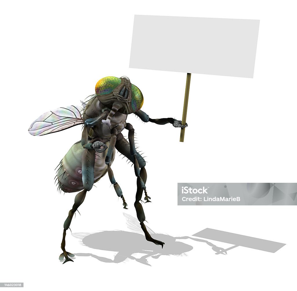 Giant Fly with Blank Sign 3D render of a giant fly holding a blank sign. Housefly Stock Photo