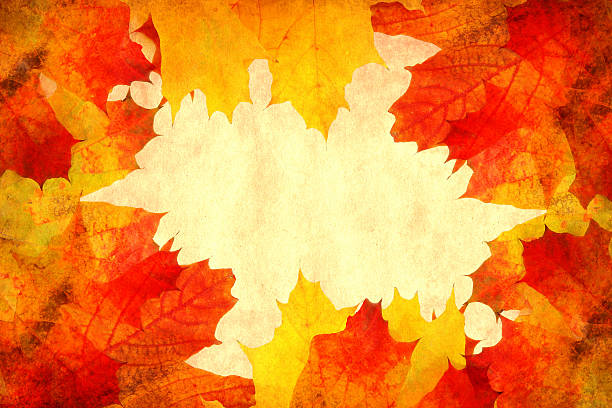 istock Colorful backround image of fallen autumn leaves 146023019