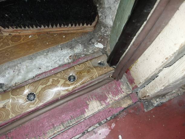 istock Installing a door seal against drafts and odors 1460231588