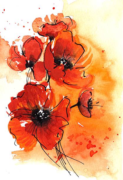 Poppy Illustration - Poppies Watercolor Abstract painted floral background in different shades of apricot and orange with romantically red poppies. Art is created and painted by photographer pen and ink stock illustrations