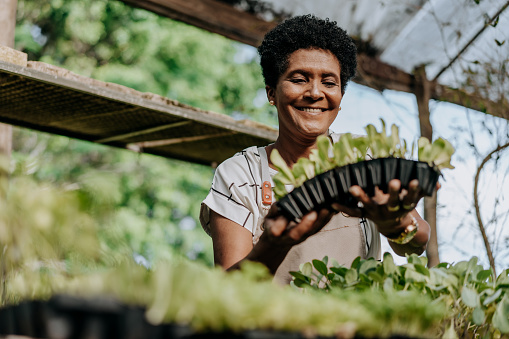 Happy and smiling woman growing vegetables