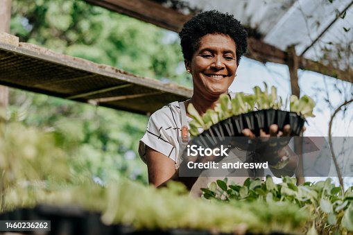 istock Happy and smiling woman growing vegetables 1460236262