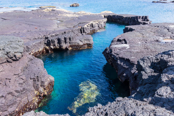 istock Rock Pools on Santiago Island, Galapagos 1460236367