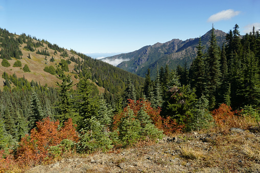 Olympic National Park mountains during autumn and blue sky, Washington, United States