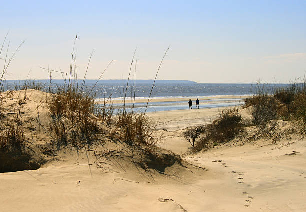 camminare jekyll island beach - sand dune cumberland island beach sand foto e immagini stock