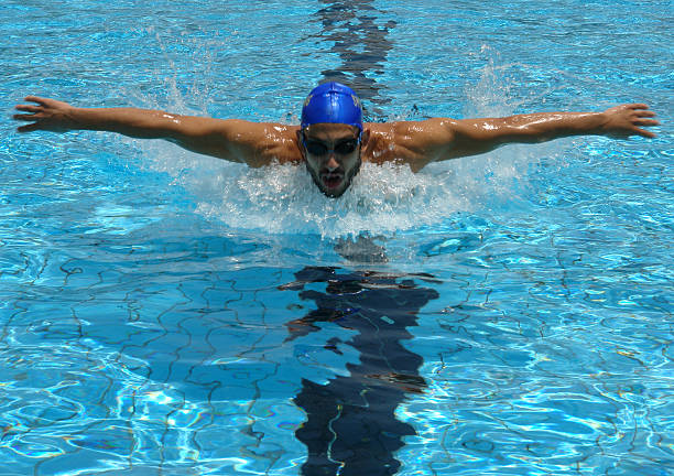 Swimmer Swimming Butterfly stock photo