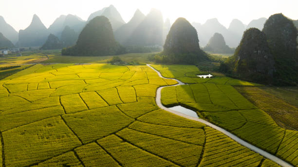 Guilin Landscape Guilin Landscape li river stock pictures, royalty-free photos & images