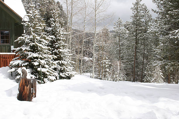 istock Winter Wonderland 146023884
