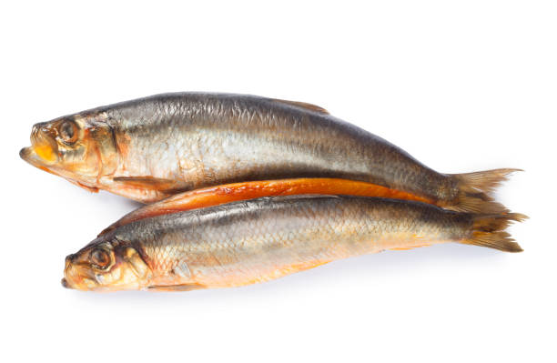 Smoked Kippers on White Studio shot of naturally smoked kippers cut out against a white background kipper stock pictures, royalty-free photos & images