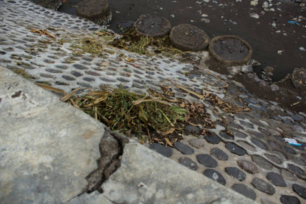 istock The grass here is because of the flood 1460239732