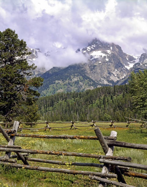 istock Grand Teton, Wyoming 1460240231