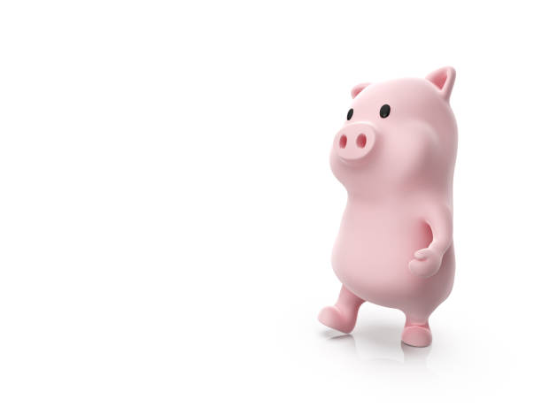 istock 3d render of pig walking on white background 1460244035