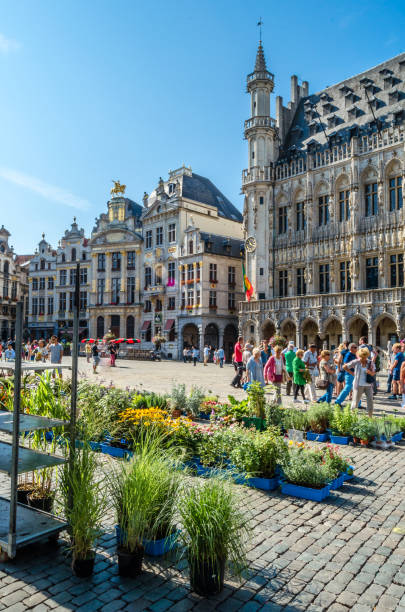 mercato dei fiori nella famosa grand place di bruxelles, belgio - brussels belgium market flower market foto e immagini stock