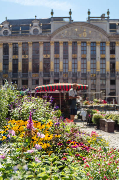 mercato dei fiori nella famosa grand place di bruxelles, belgio - brussels belgium market flower market foto e immagini stock