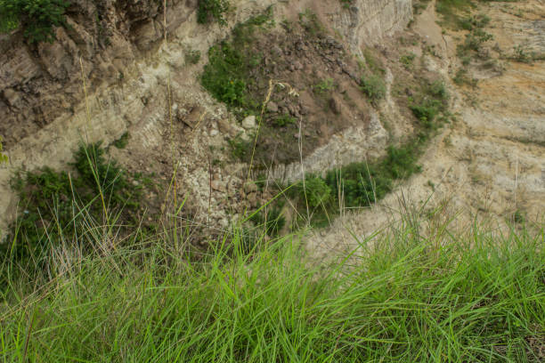istock The rocks below are barren 1460254345
