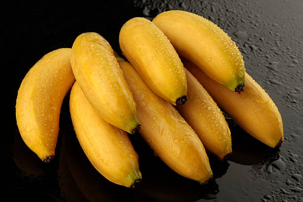 istock Ladyfinger bananas on black background 146025616