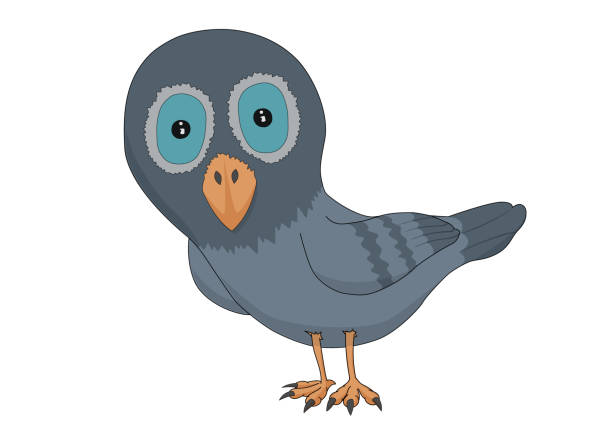 576 Drawing Of Funny Pigeon Illustrations & Clip Art - iStock