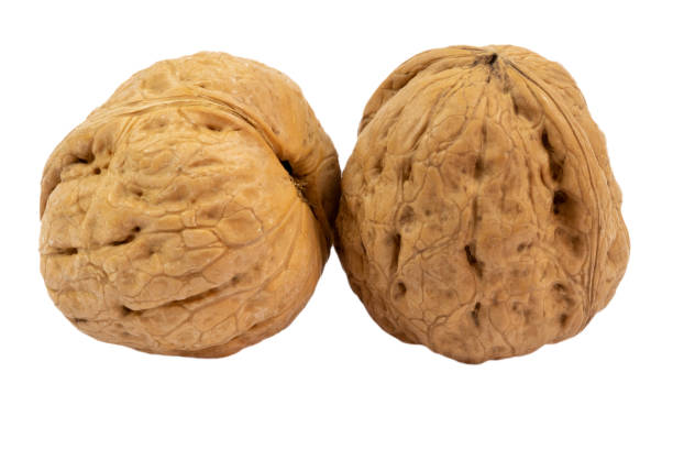 istock nuts close up isolated on a white background 1460259756